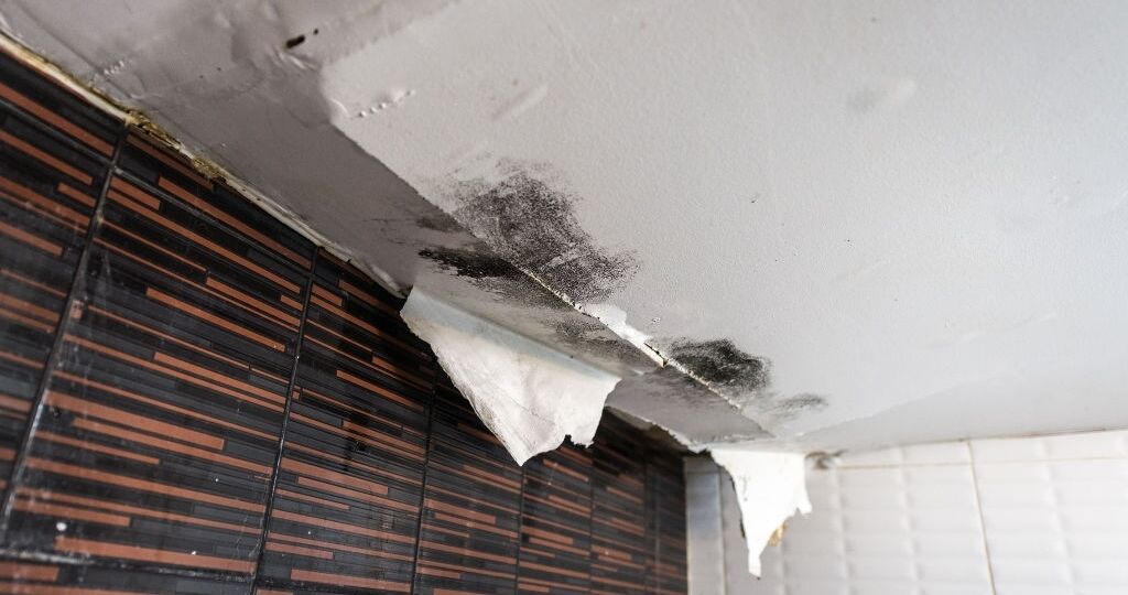 Ways to Reduce The Risk Of Fire And Water Damage