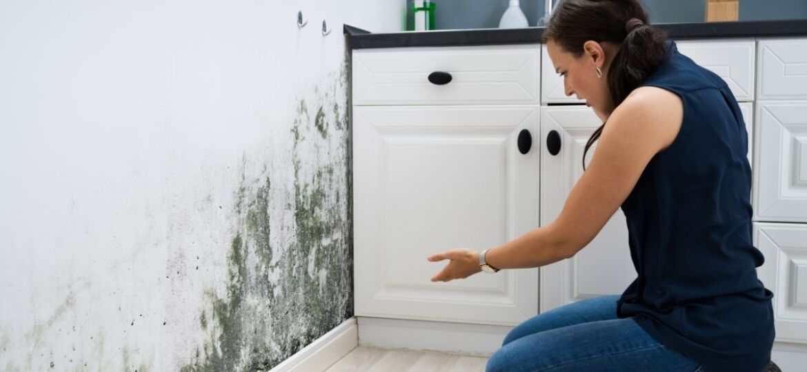 Homeowner inspecting severe black mold growth on a white wall near kitchen cabinets, highlighting the need for immediate mold prevention and remediation.