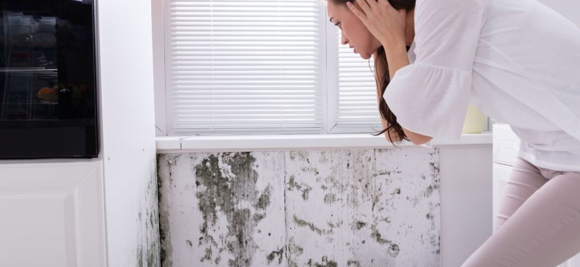 mold remediation in Lorton, VA
